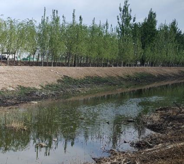 1598427590630458.jpg 2020_0821_ef9ca97bj00qfegpd001bd000bs00bip.jpg