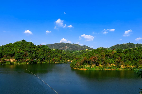 1604731976785502.jpg timg (1).jpg