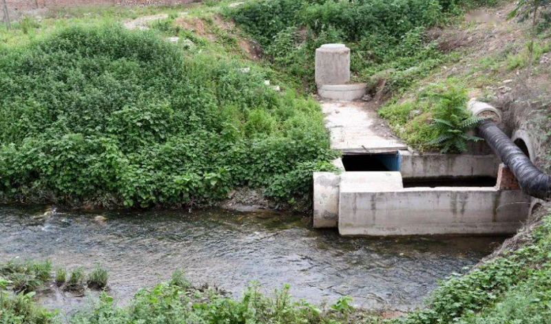 1733877634131216.png 圖片1.png